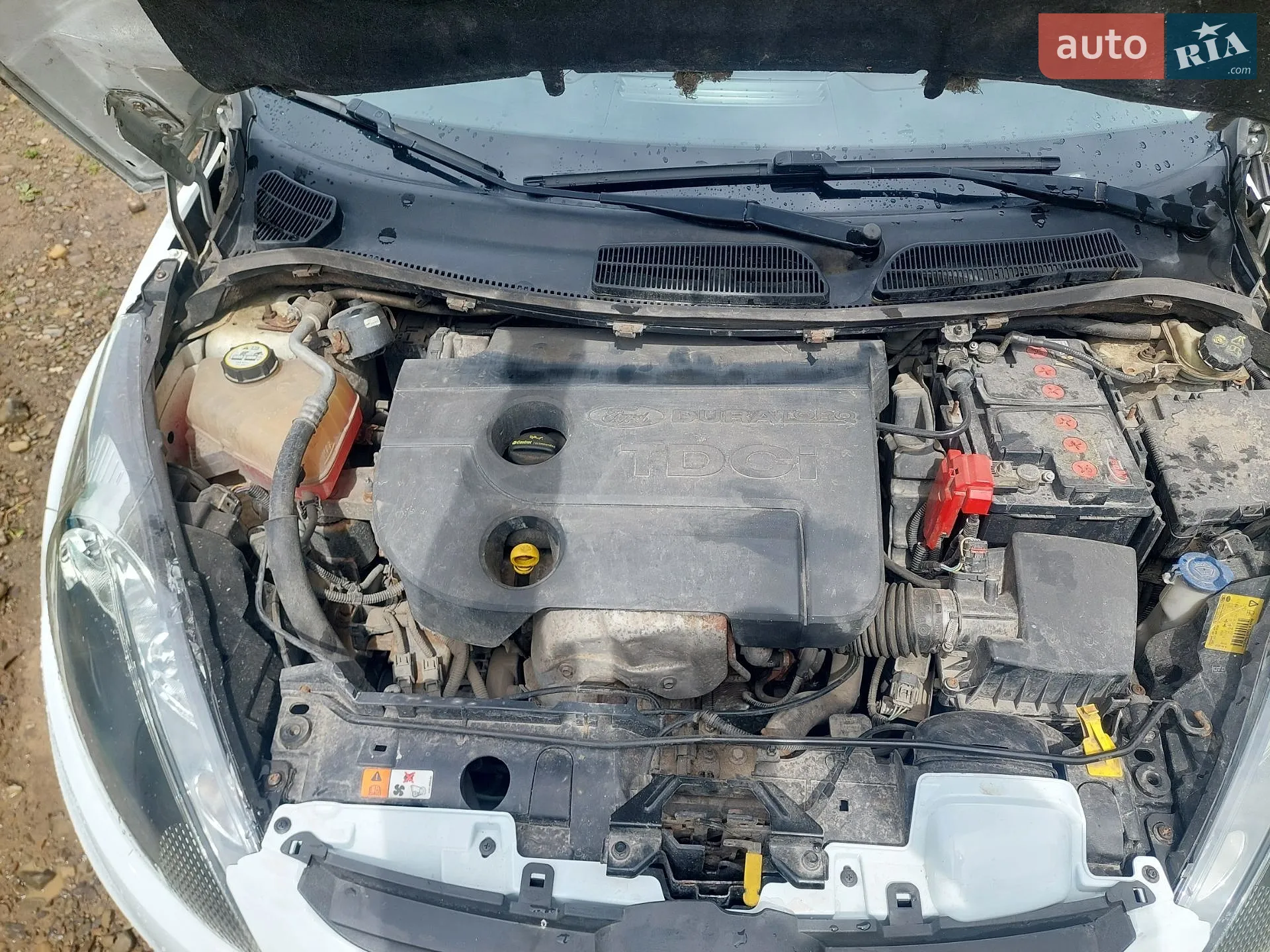 2012 Ford Fiesta - мініатюра 20