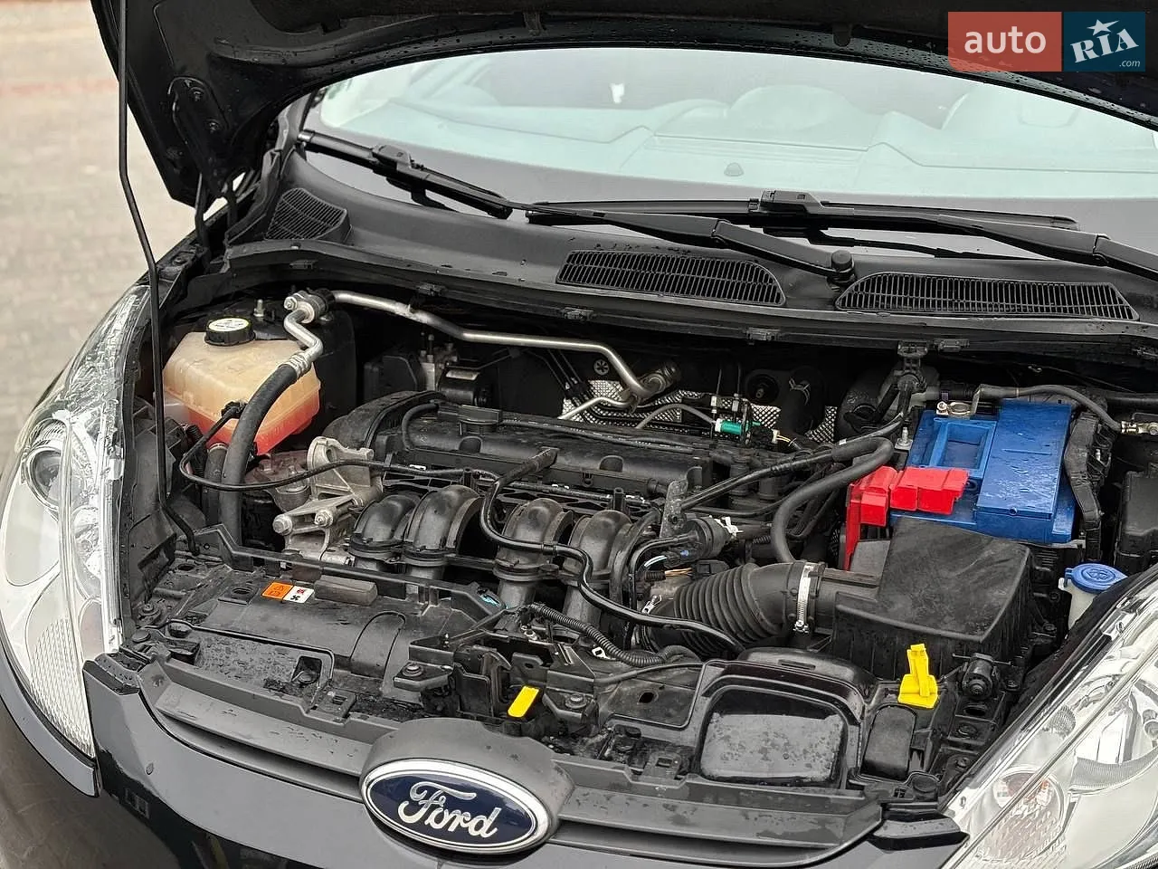 2010 Ford Fiesta - мініатюра 25