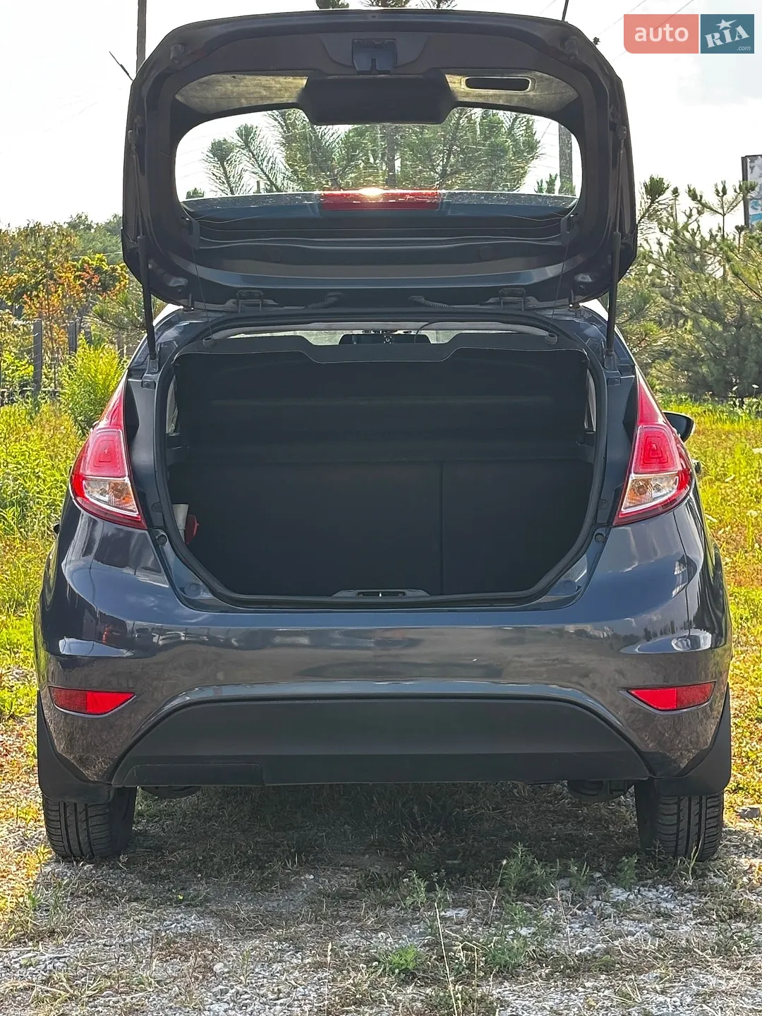2013 Ford Fiesta - мініатюра 13