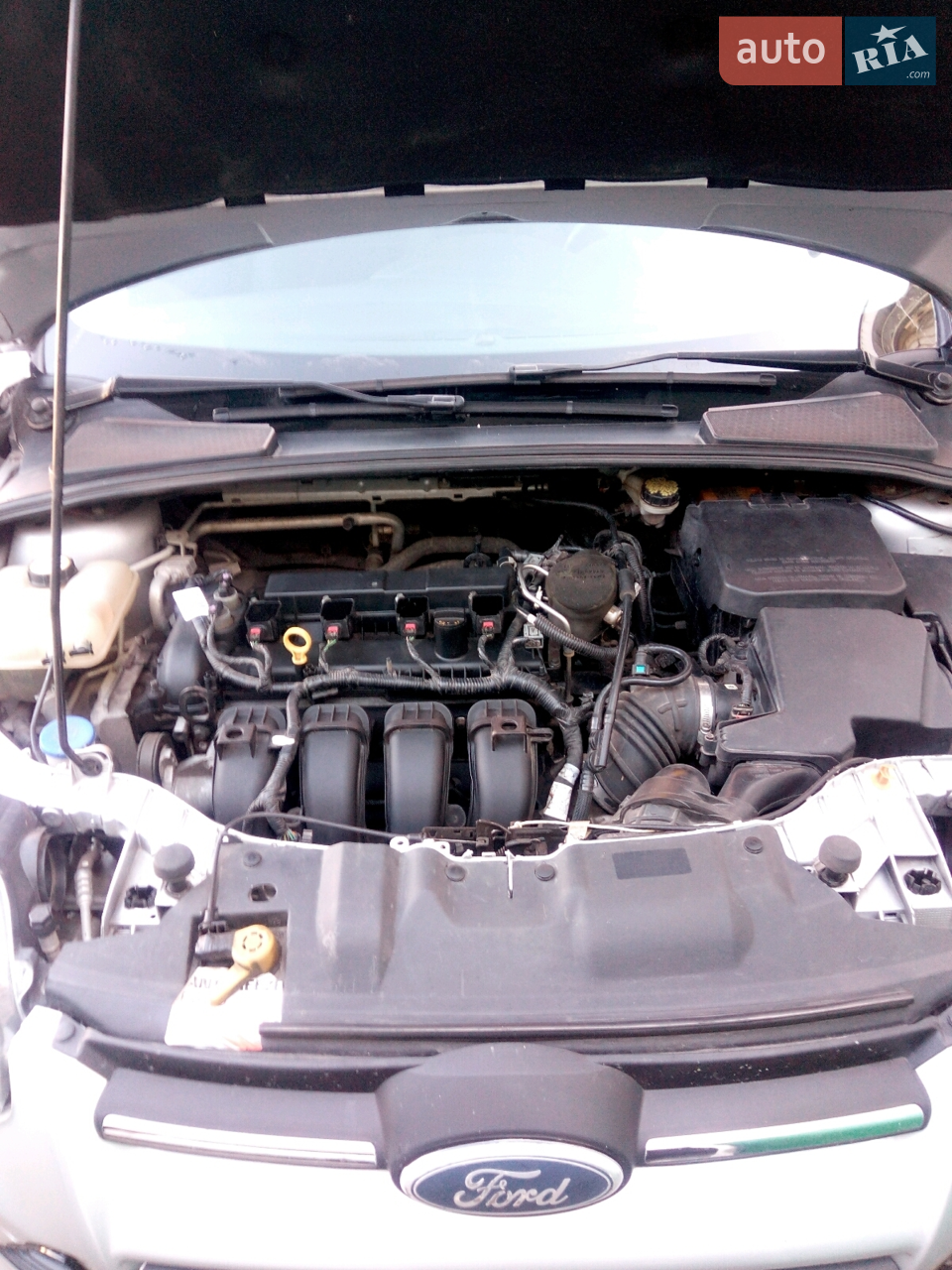 2014 Ford Focus - мініатюра 5