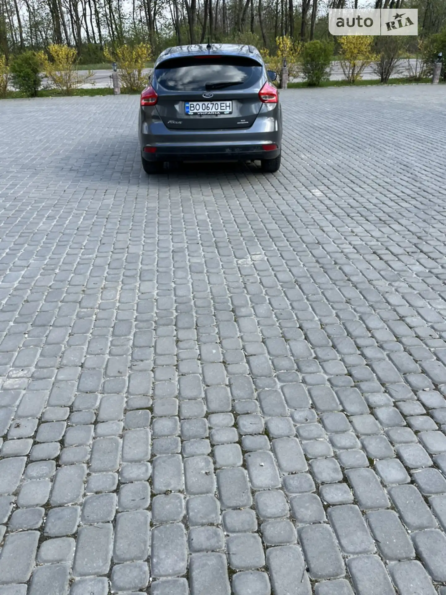 2016 Ford Focus - мініатюра 12