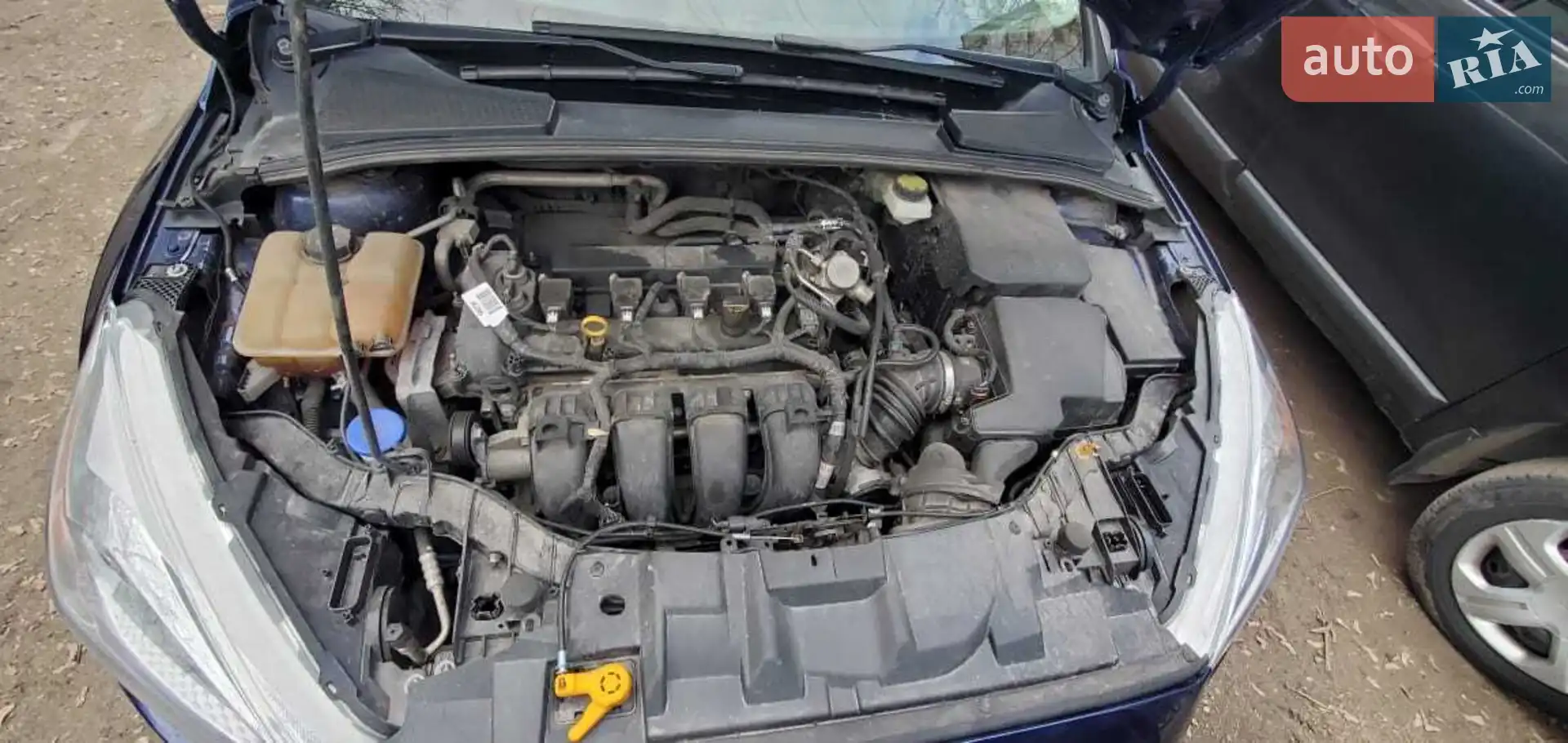 2016 Ford Focus - мініатюра 20