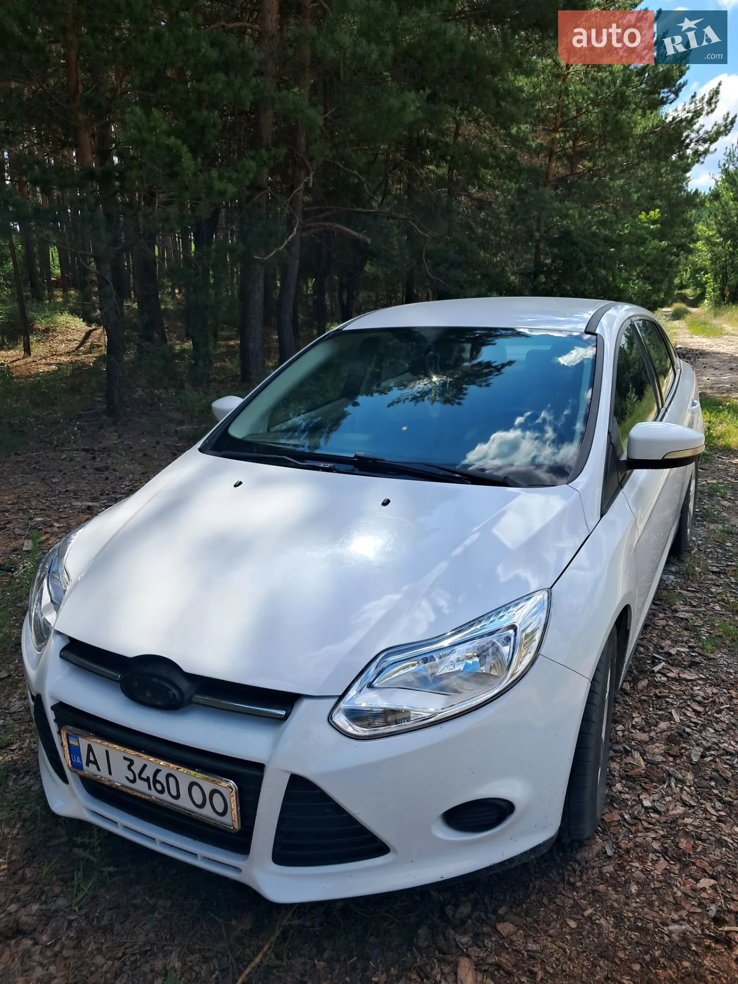 2014 Ford Focus - мініатюра 3