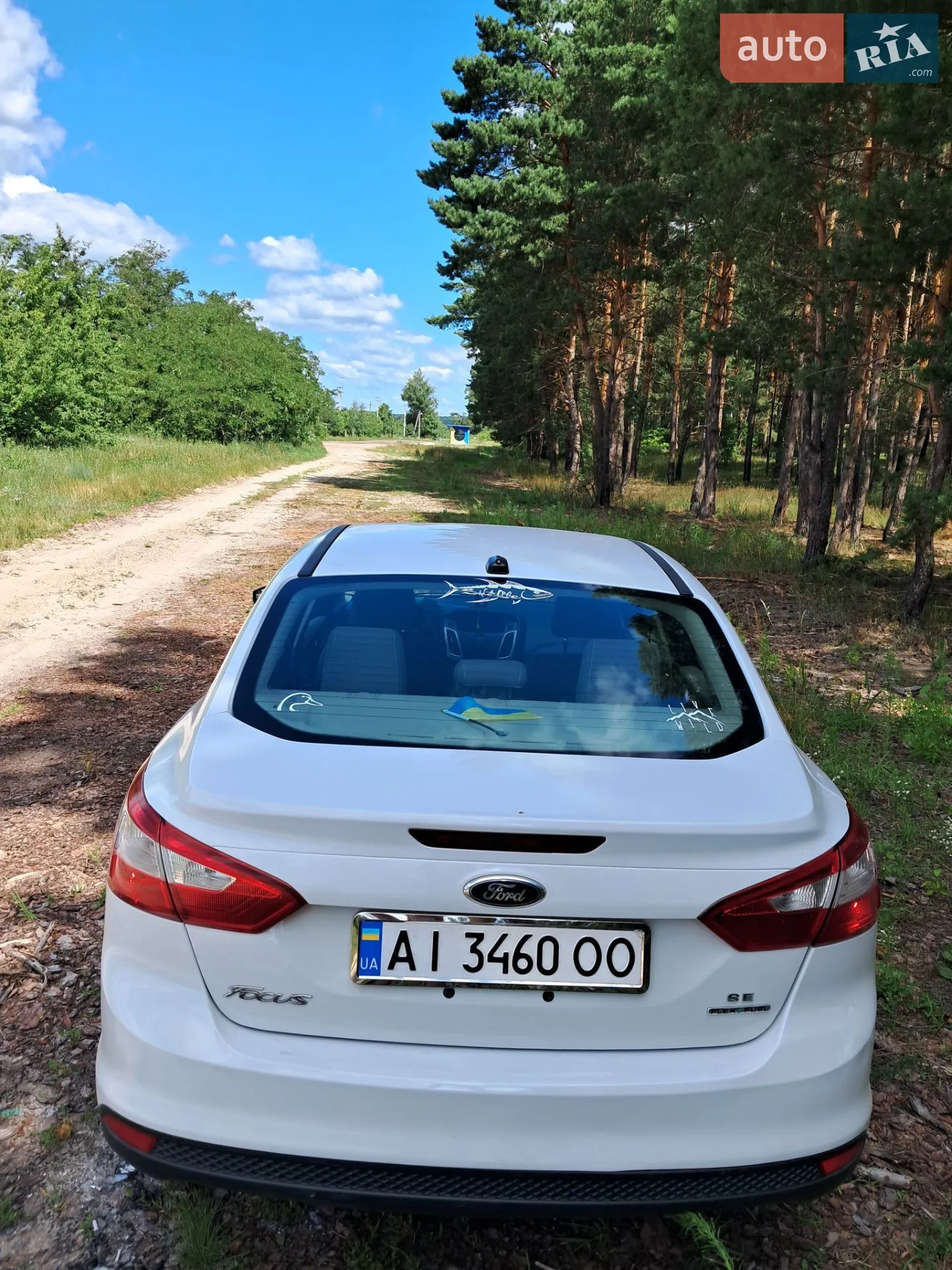 2014 Ford Focus - мініатюра 10