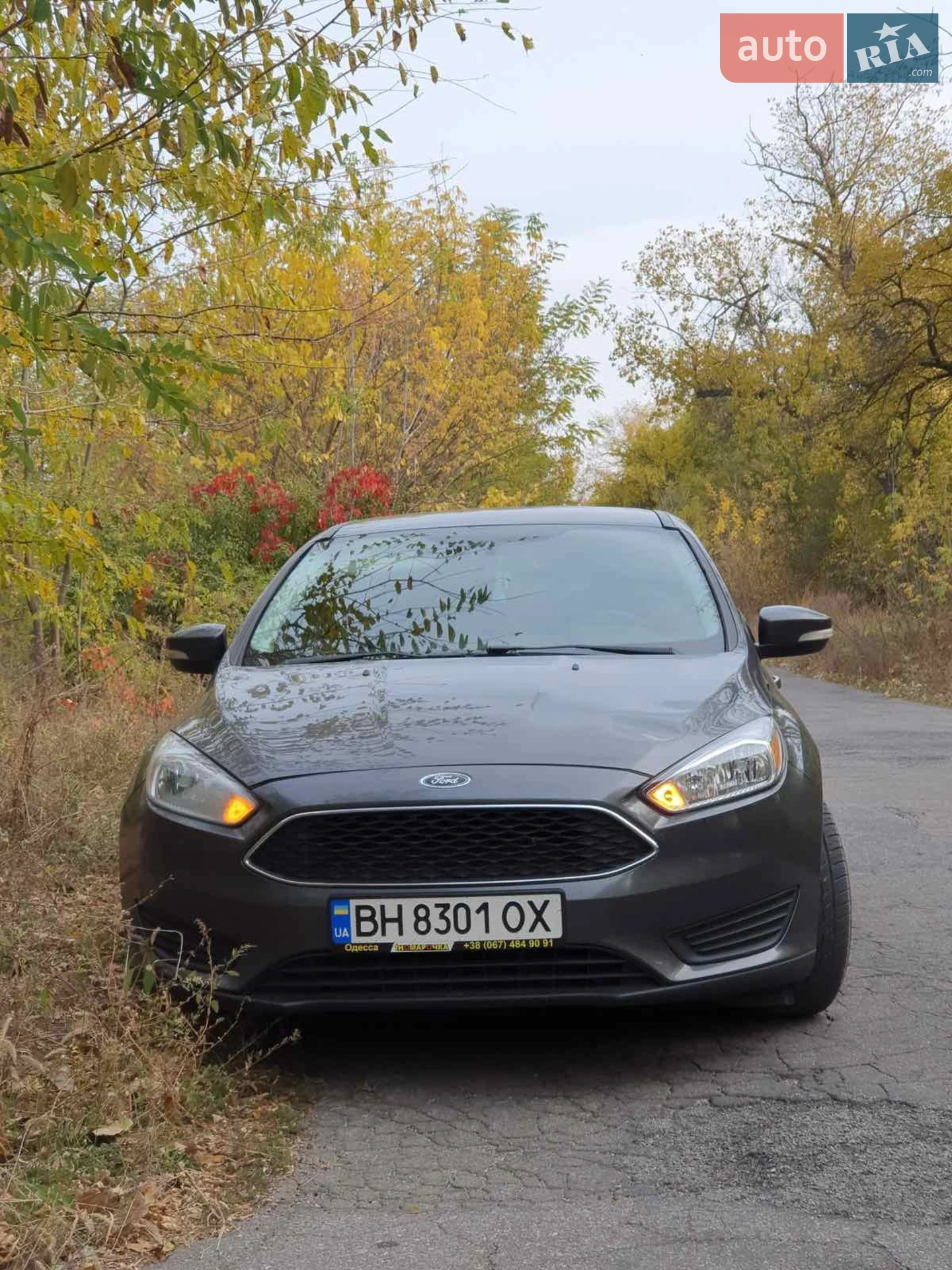 2016 Ford Focus - фото 1