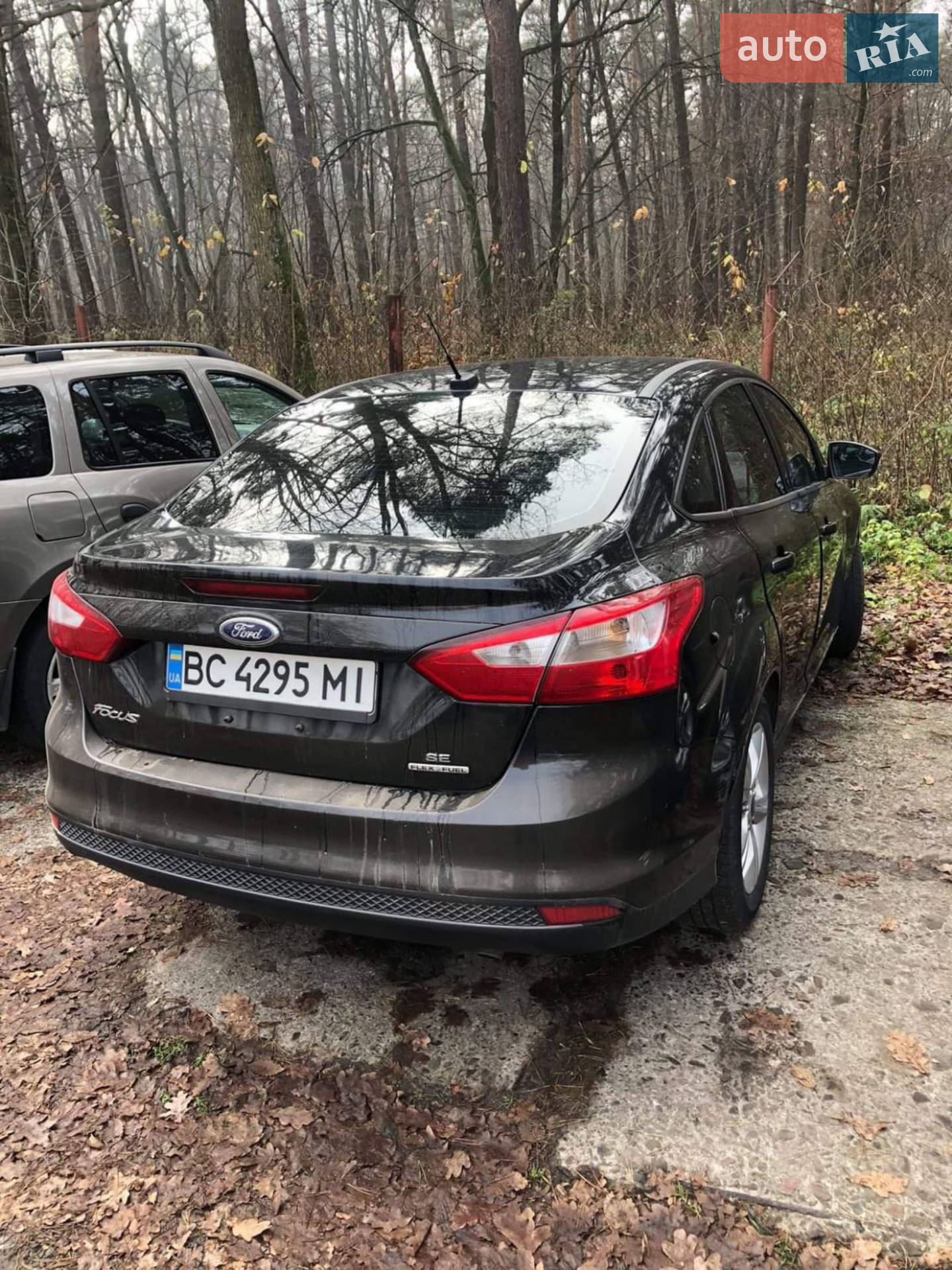 2014 Ford Focus - мініатюра 8