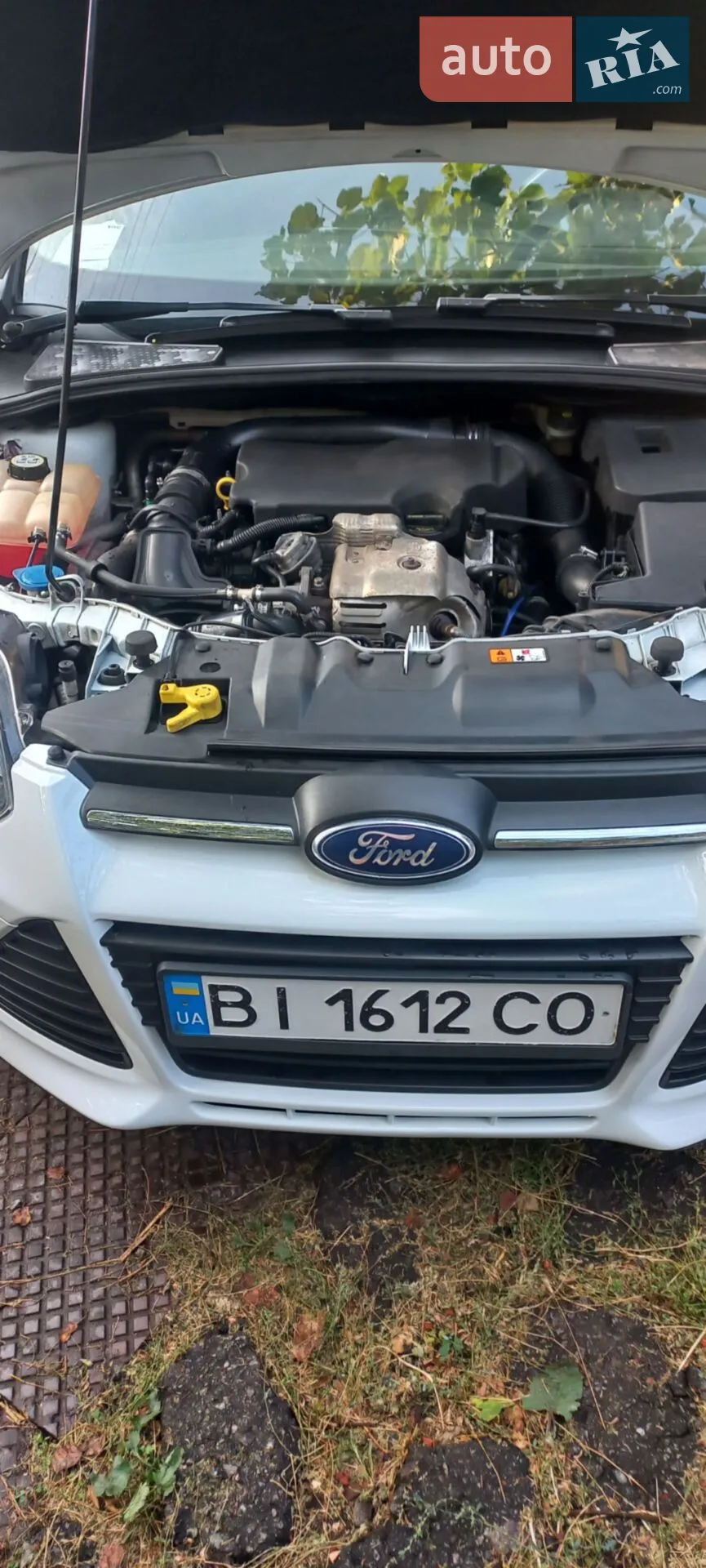 2013 Ford Focus - мініатюра 17
