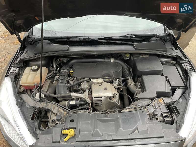 Хэтчбек Ford Focus 2015 в Киеве