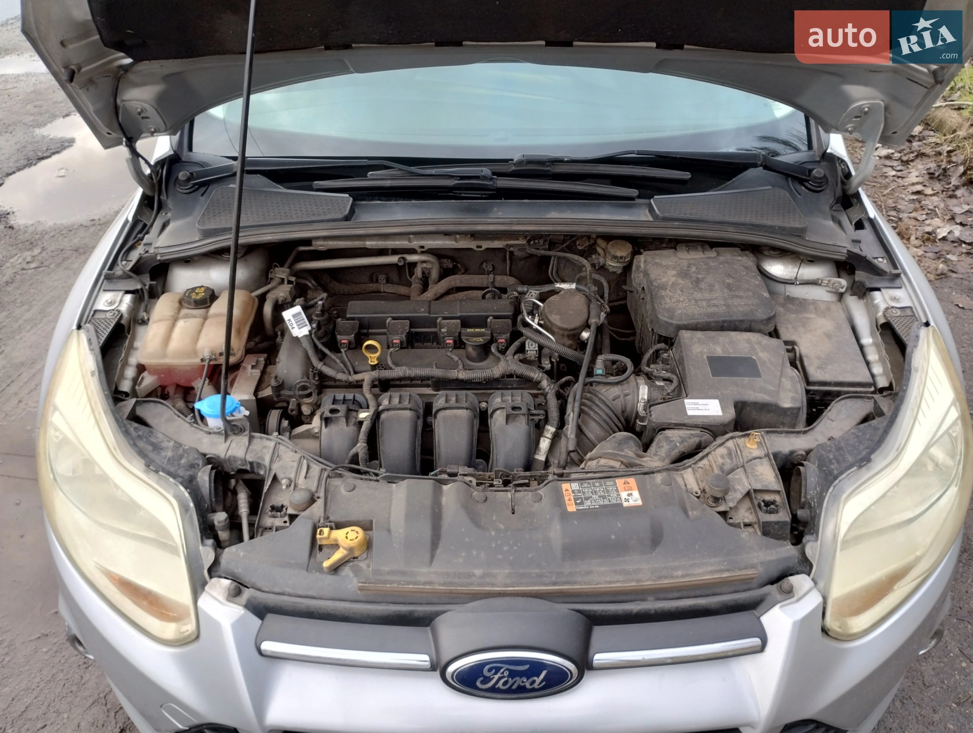 2014 Ford Focus - мініатюра 4