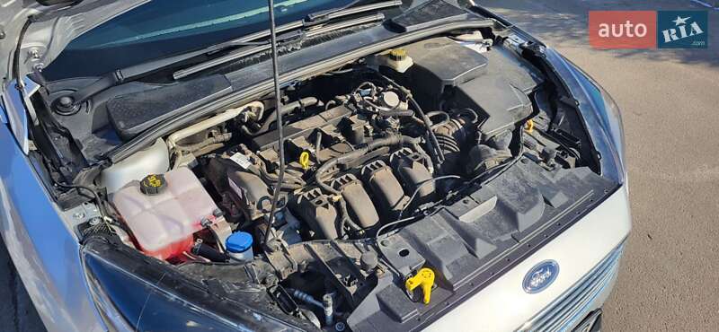 Хэтчбек Ford Focus 2017 в Вишневом фото 10 Хэтчбек Ford Focus 2017 в Вишневом