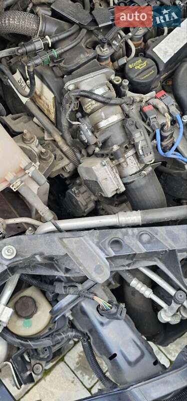 Універсал Ford Focus 2010 в Брусилові