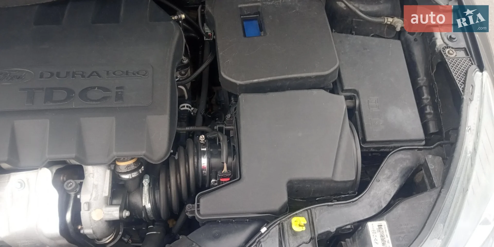 2013 Ford Focus - мініатюра 15