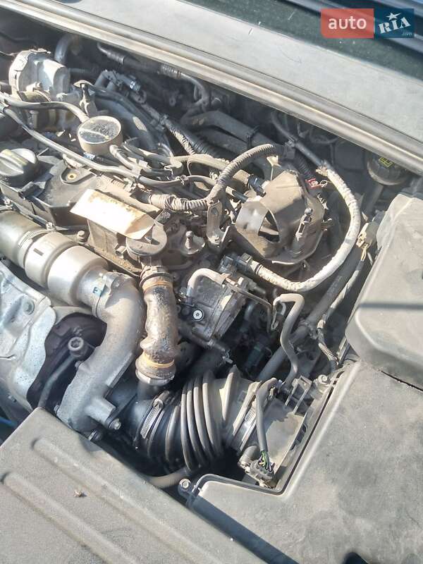 Универсал Ford Focus 2016 в Костополе фото 4 Универсал Ford Focus 2016 в Костополе