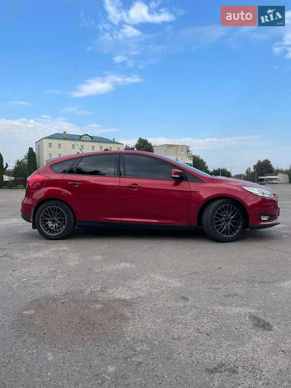 Хэтчбек Ford Focus 2015 в Андрушевке фото 5 Хэтчбек Ford Focus 2015 в Андрушевке