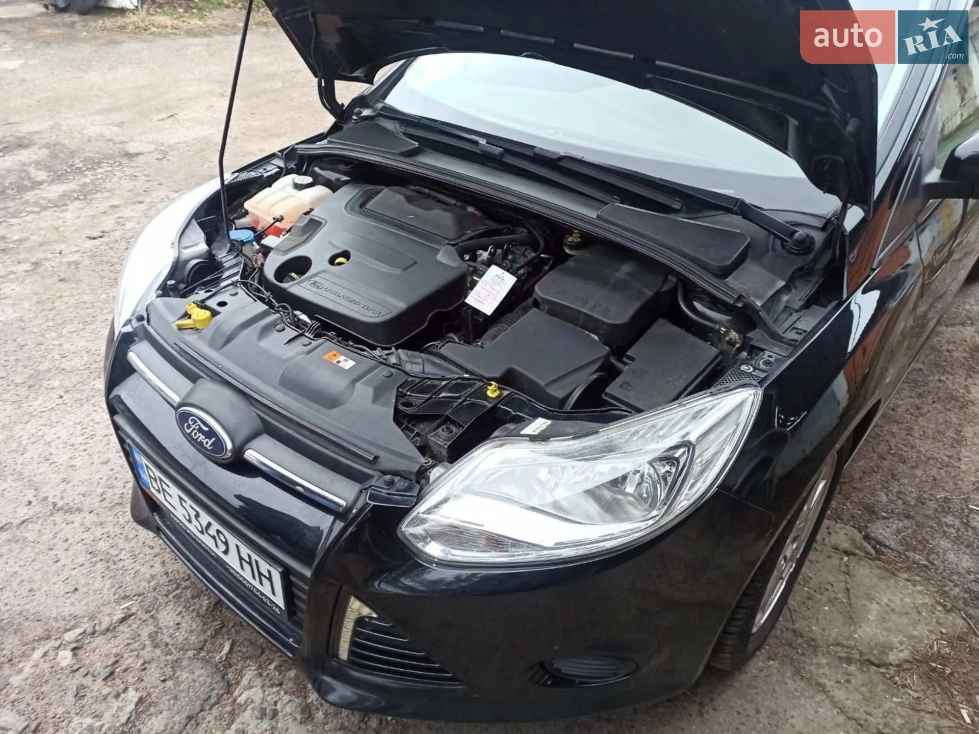 2013 Ford Focus - мініатюра 2