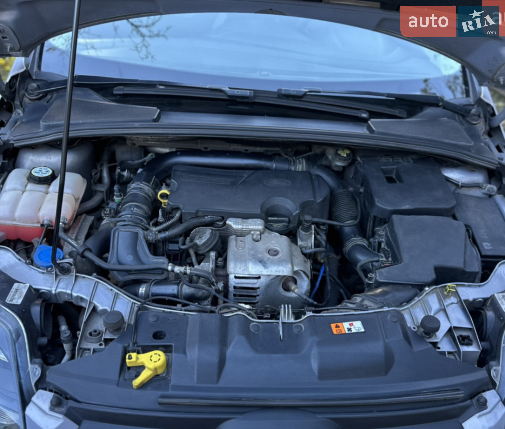 2013 Ford Focus - мініатюра 16