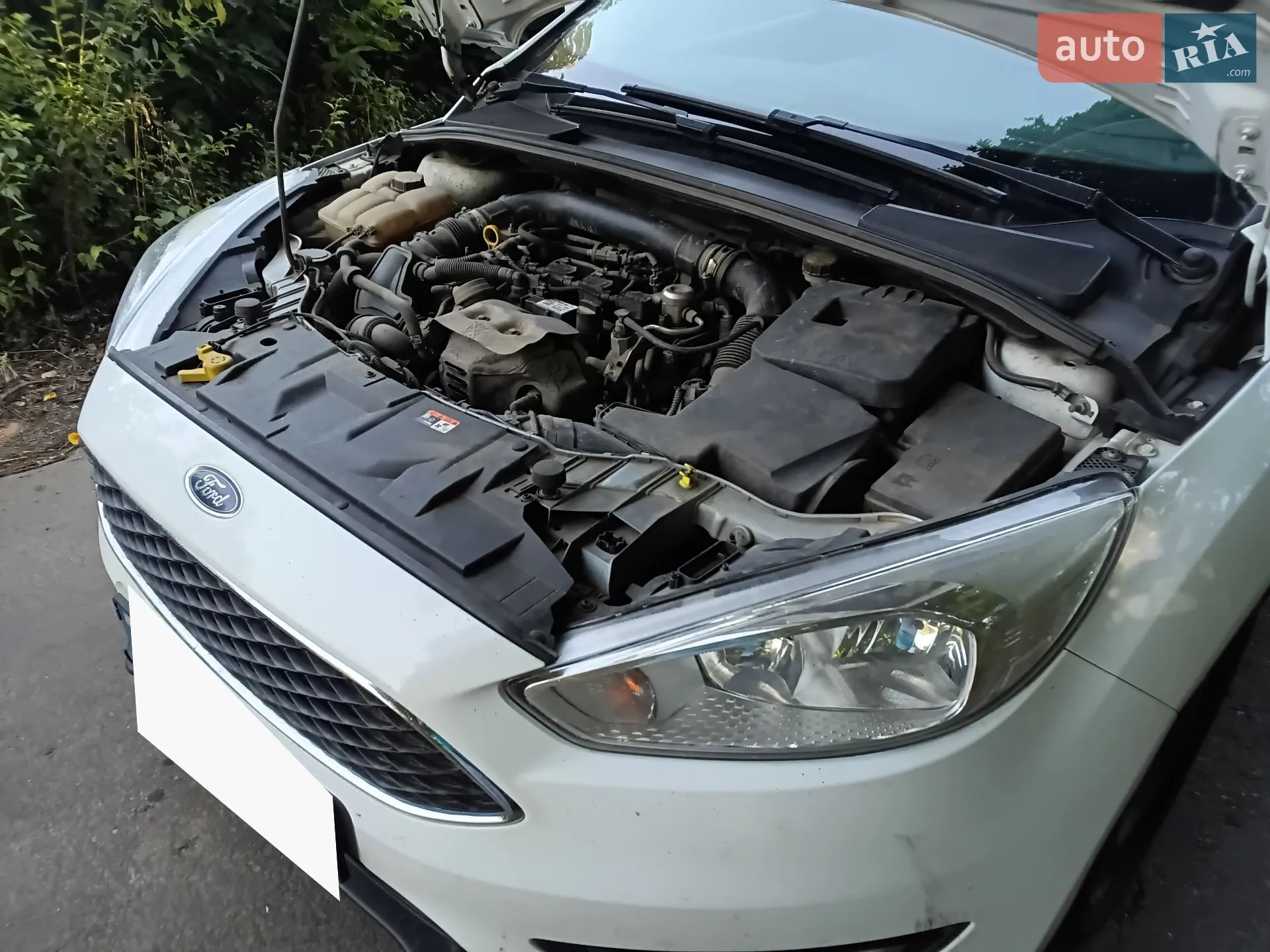 2016 Ford Focus - мініатюра 7