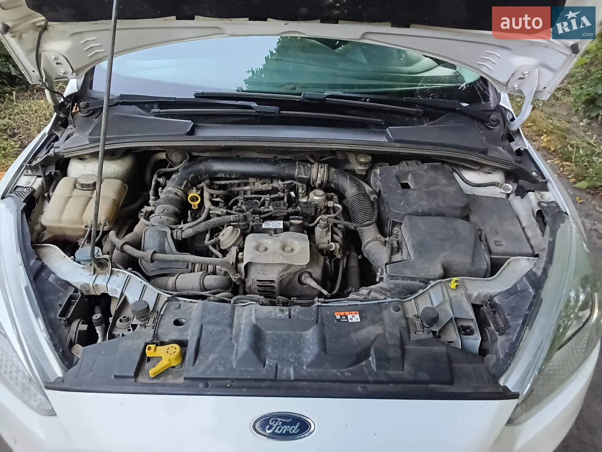 2016 Ford Focus - мініатюра 8