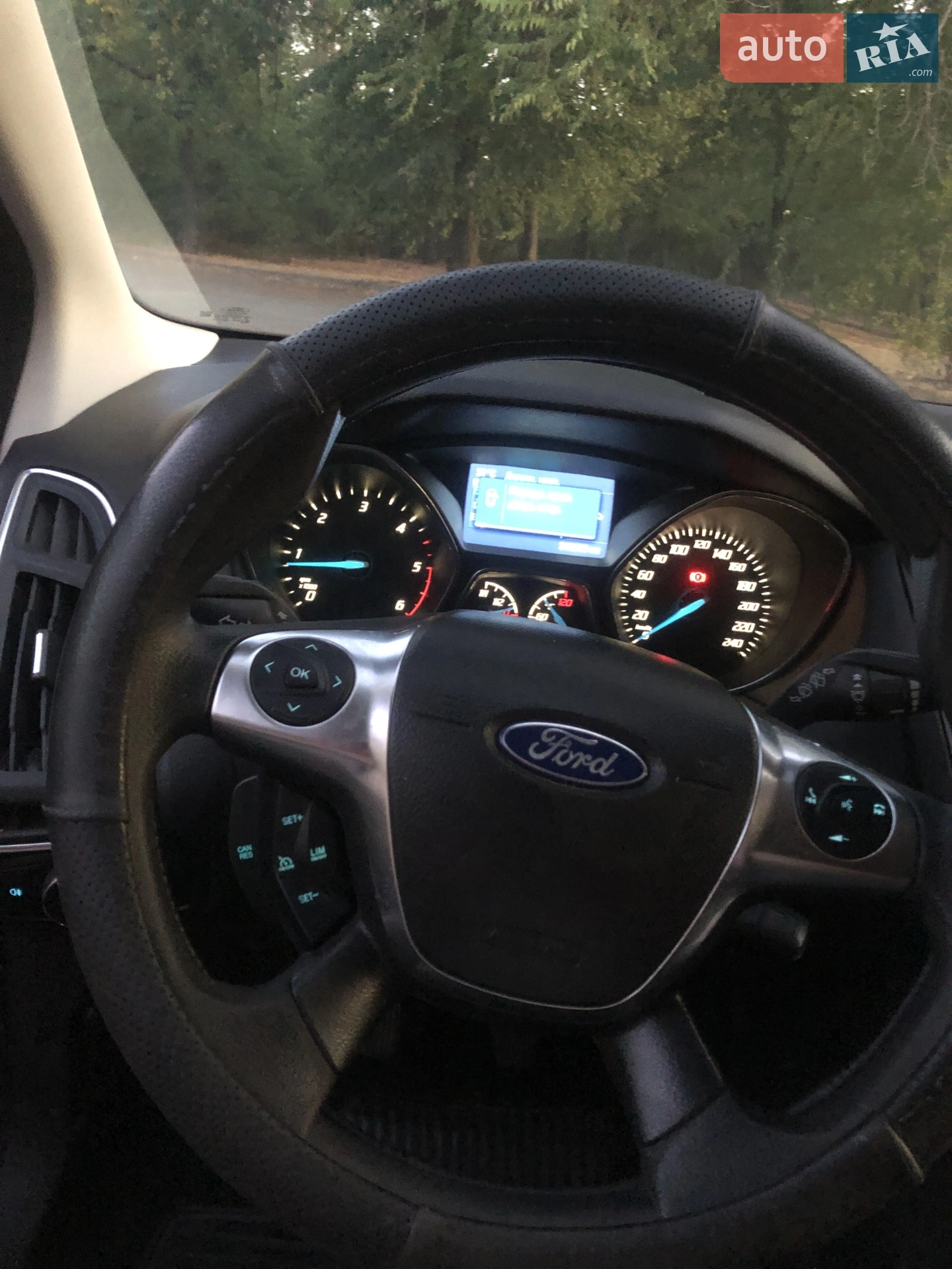 2013 Ford Focus - мініатюра 16