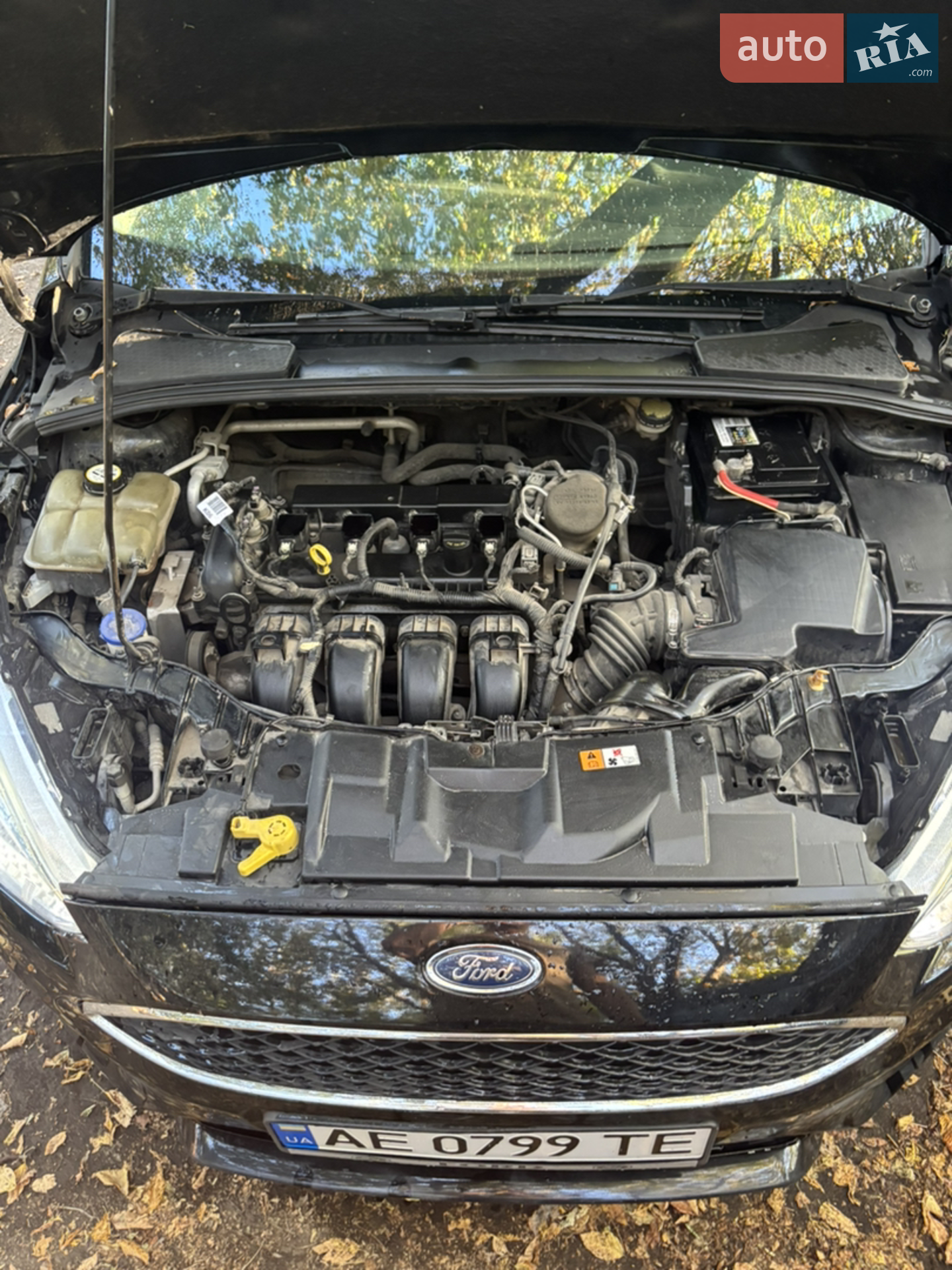 2016 Ford Focus - мініатюра 2