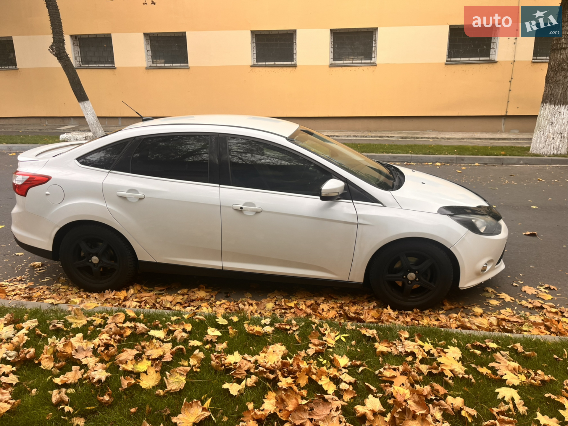 2013 Ford Focus - мініатюра 5