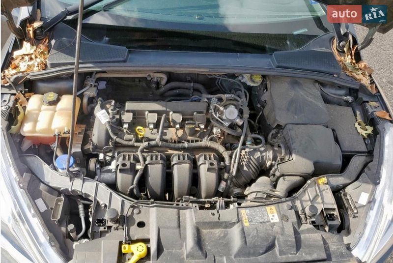 Хэтчбек Ford Focus 2016 в Стрые