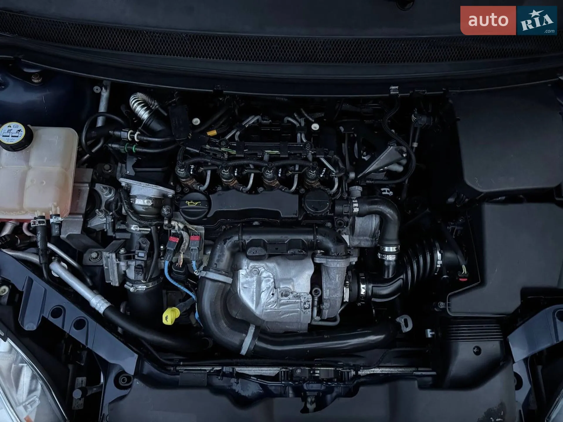 2010 Ford Focus - мініатюра 15
