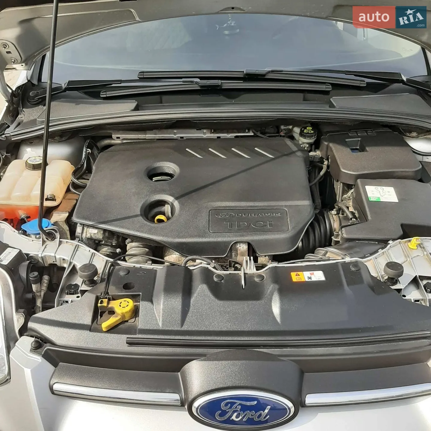 2013 Ford Focus - мініатюра 12