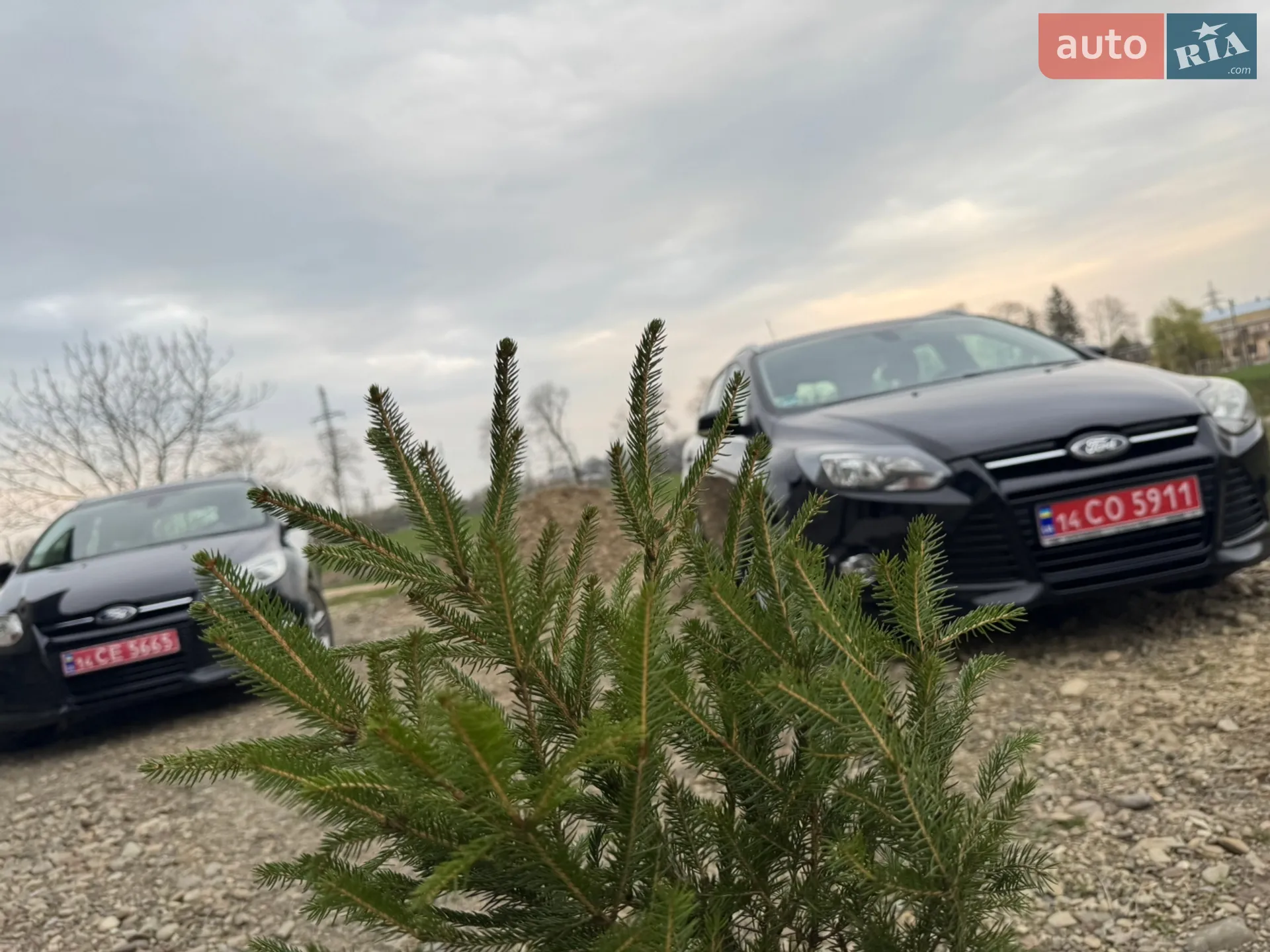 2013 Ford Focus - мініатюра 9