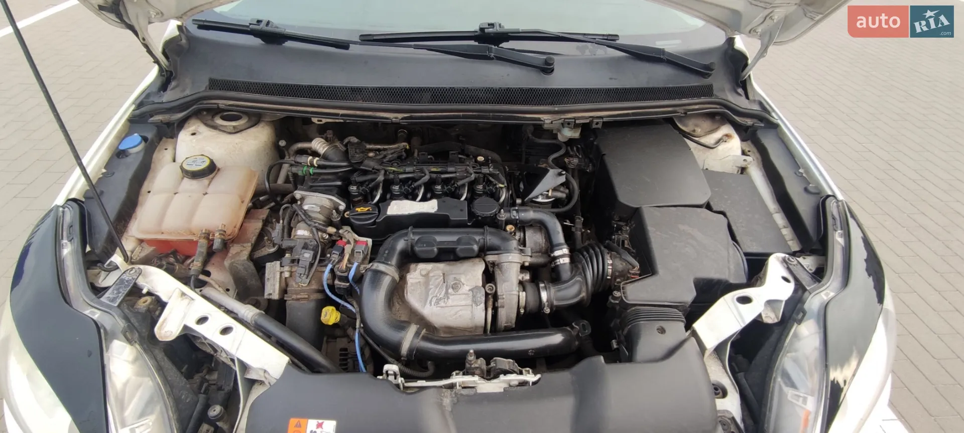 2010 Ford Focus - мініатюра 7