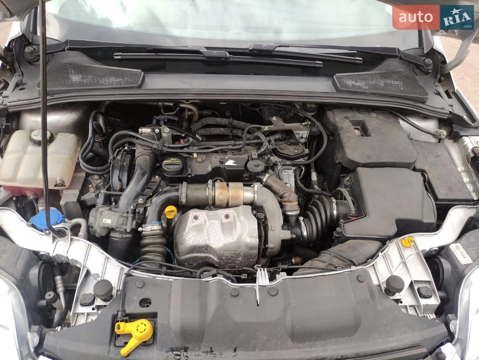 2012 Ford Focus - мініатюра 2