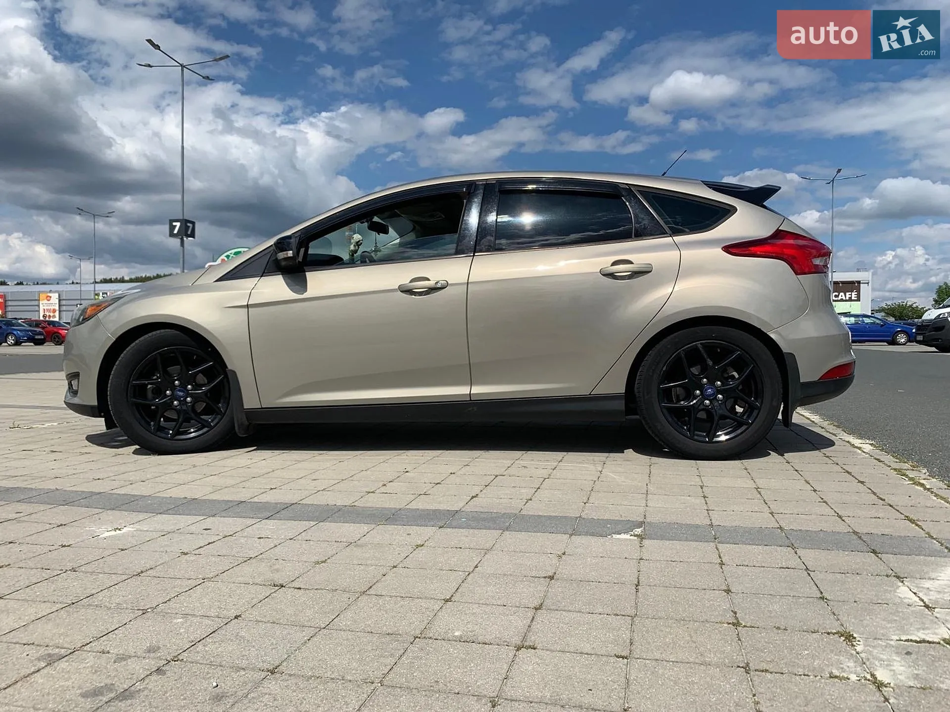 2014 Ford Focus - мініатюра 6