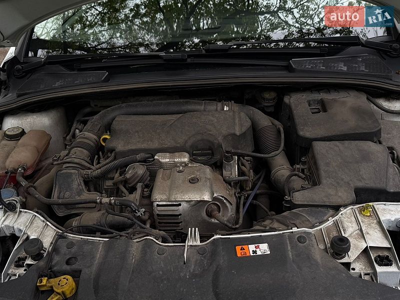 Хэтчбек Ford Focus 2013 в Фастове
