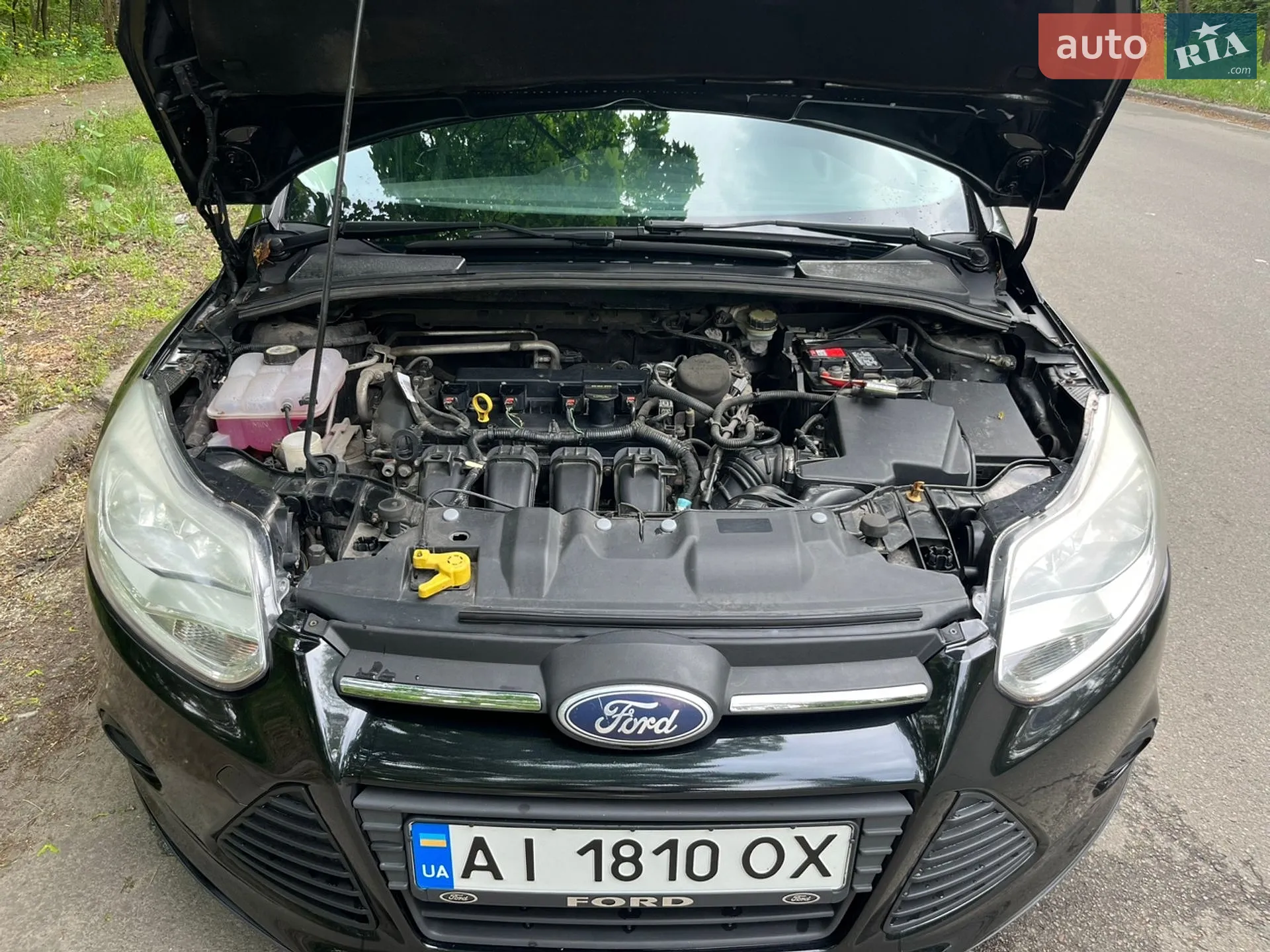 2013 Ford Focus - мініатюра 19