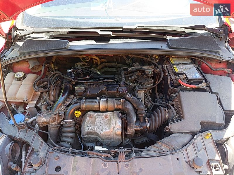 Універсал Ford Focus 2011 в Бердичеві