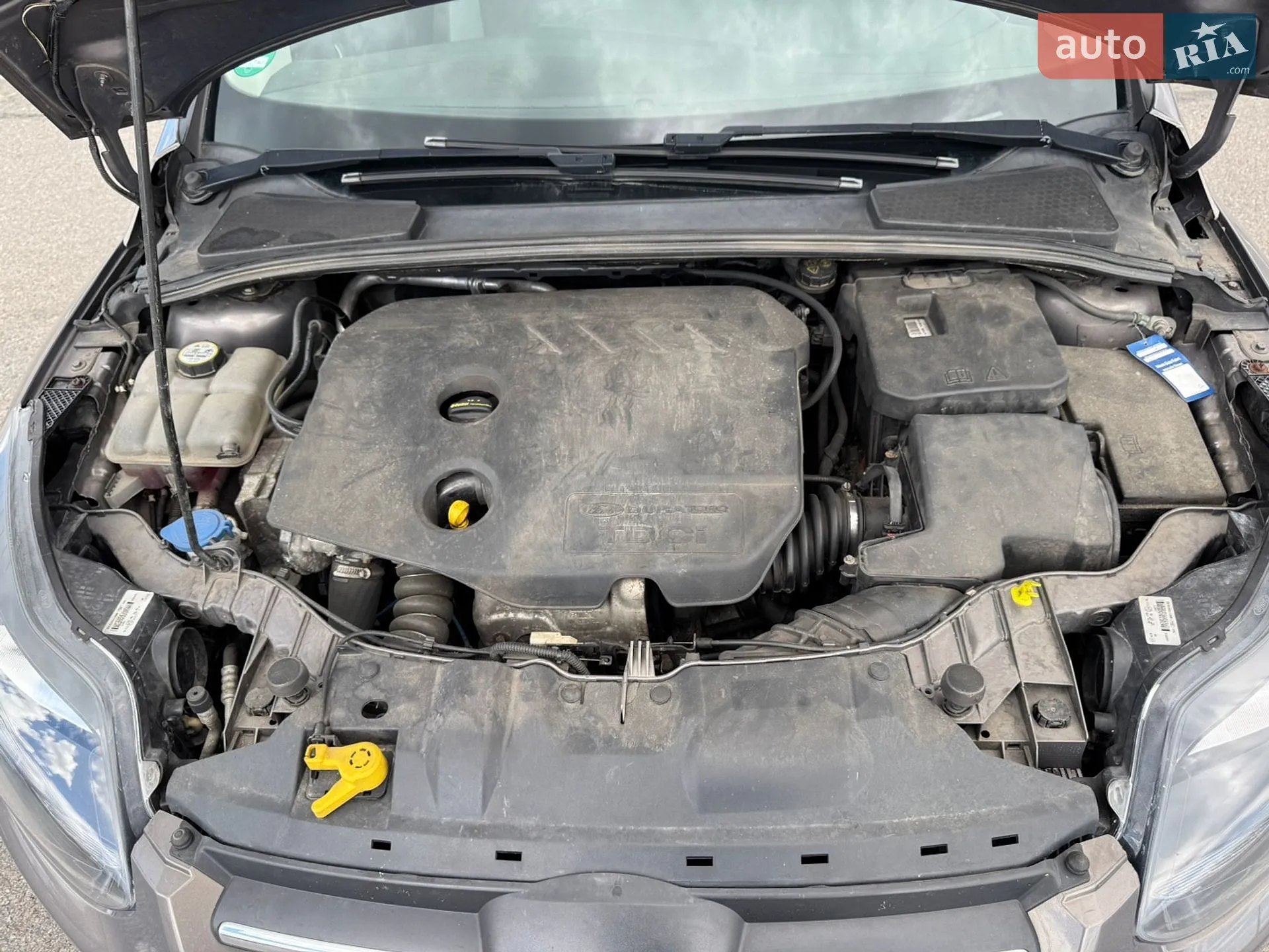 2014 Ford Focus - мініатюра 35