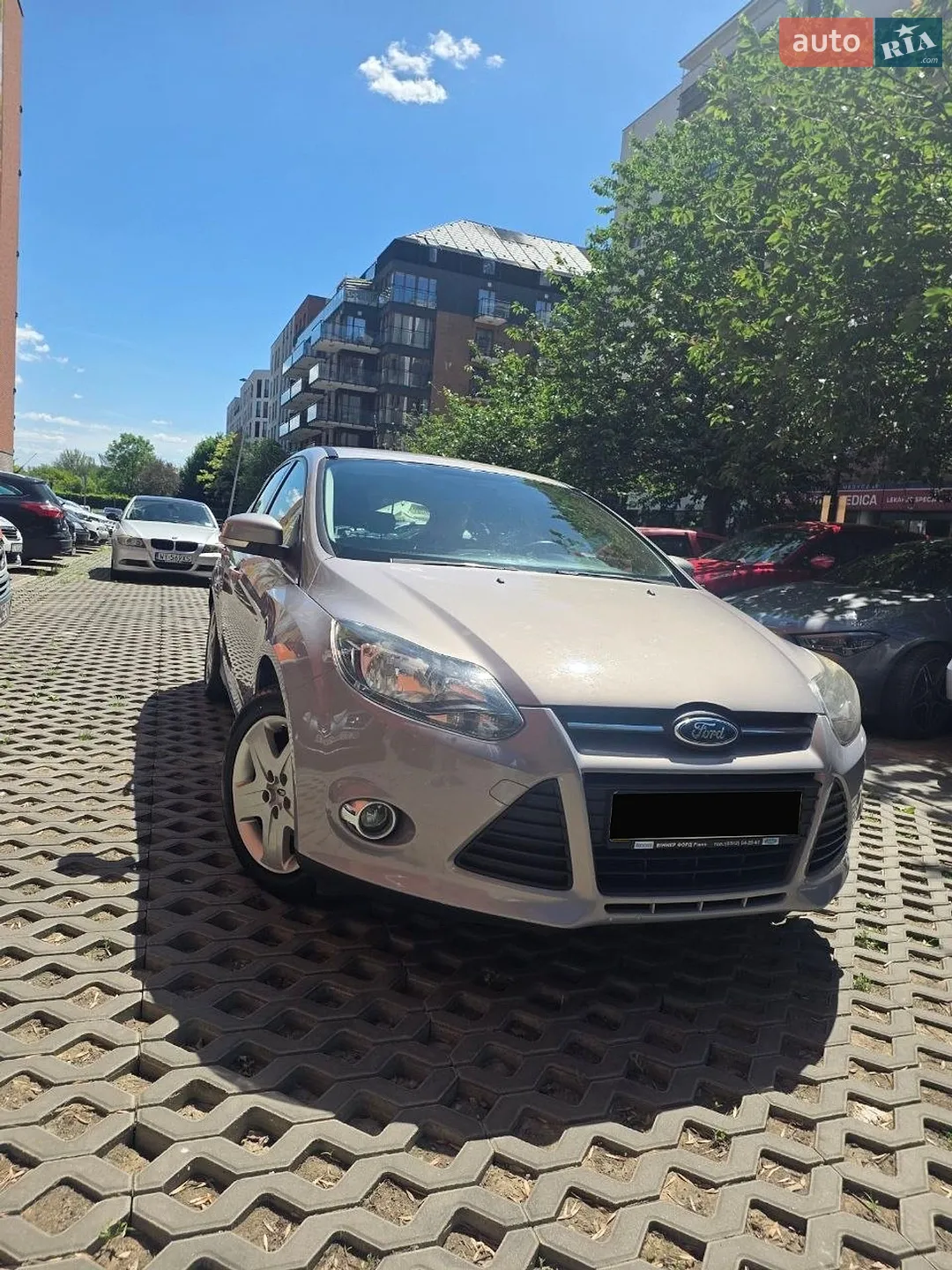 2013 Ford Focus - мініатюра 2