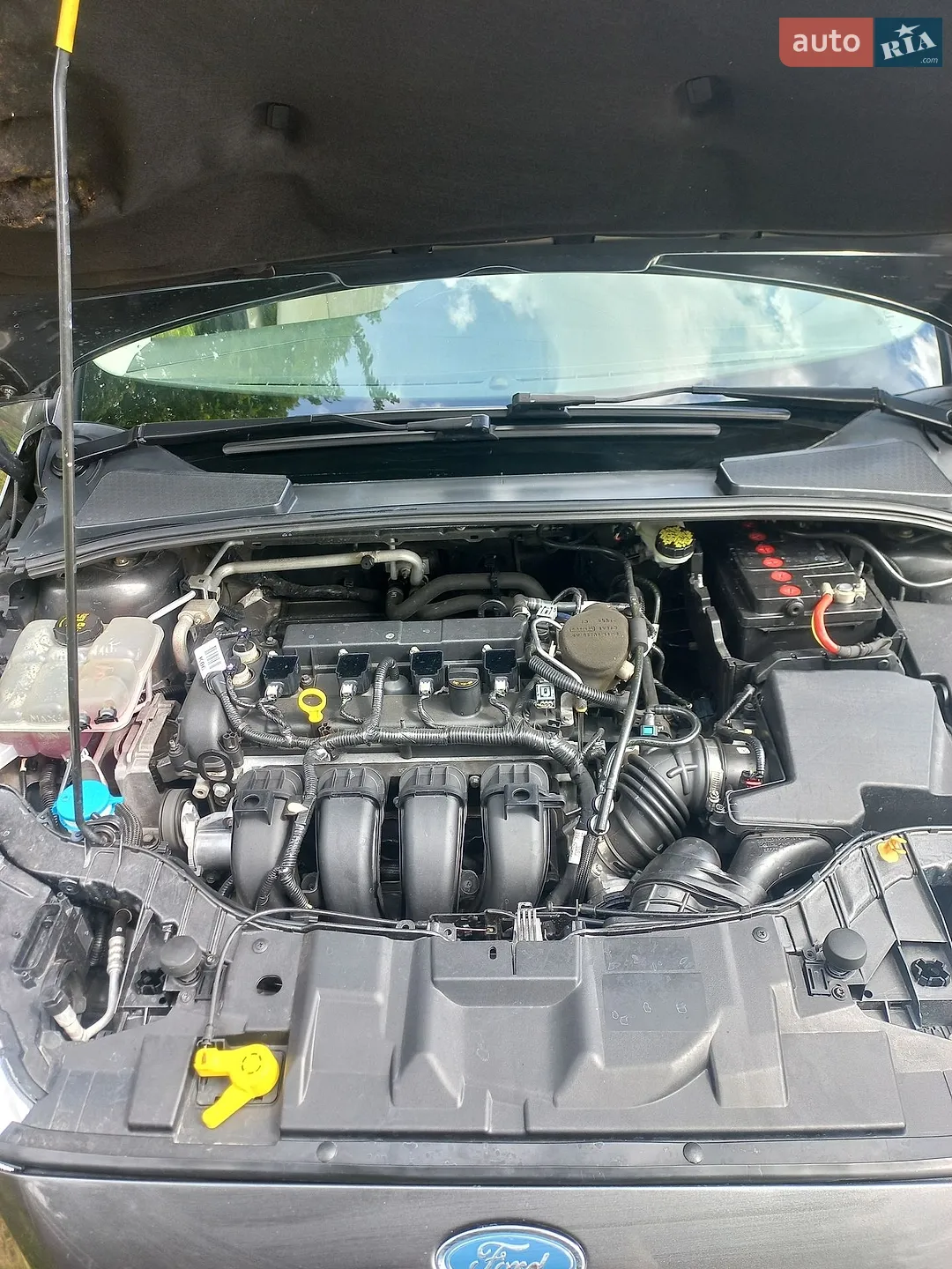 2015 Ford Focus - мініатюра 12