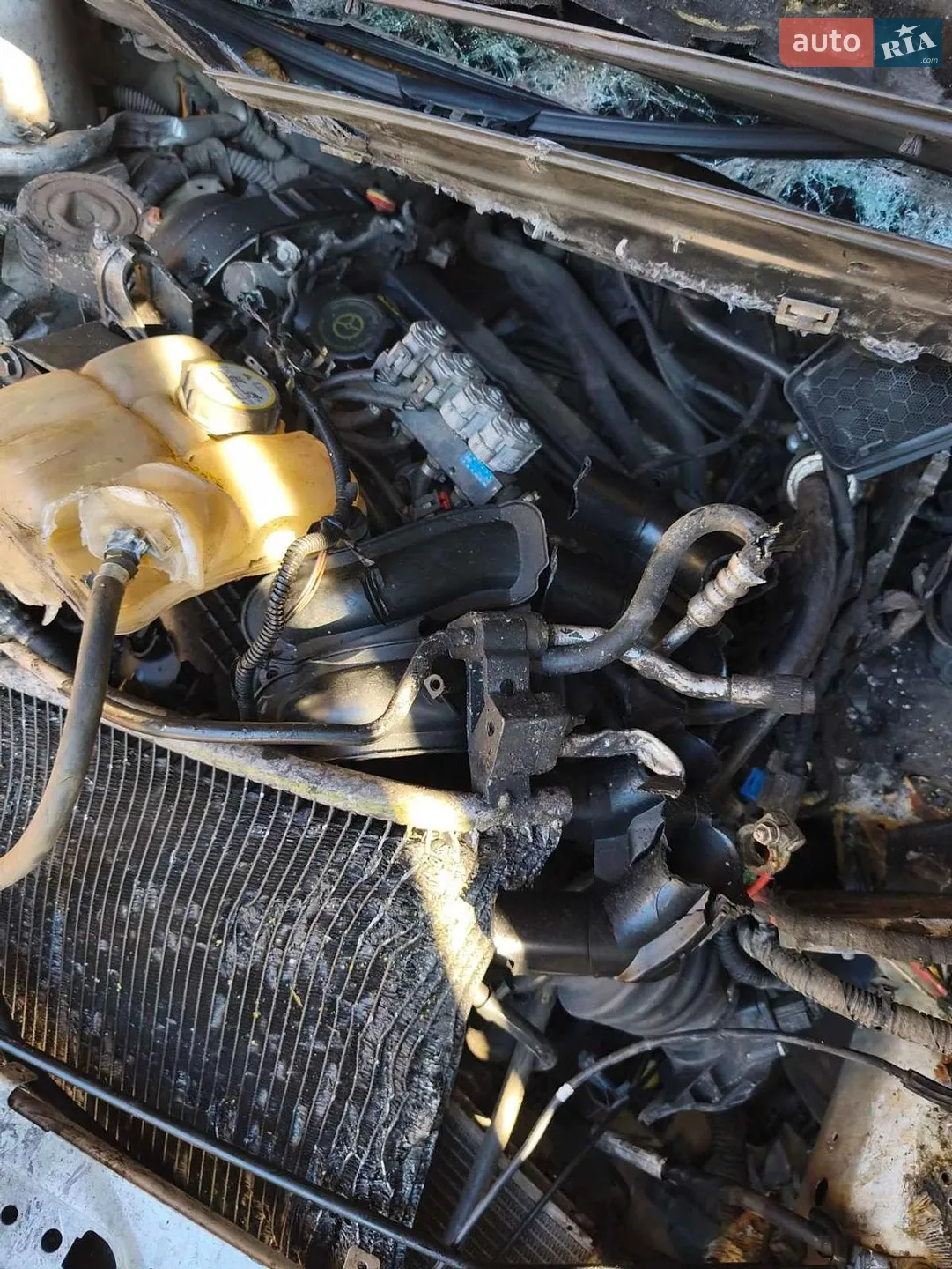 2015 Ford Focus - мініатюра 3