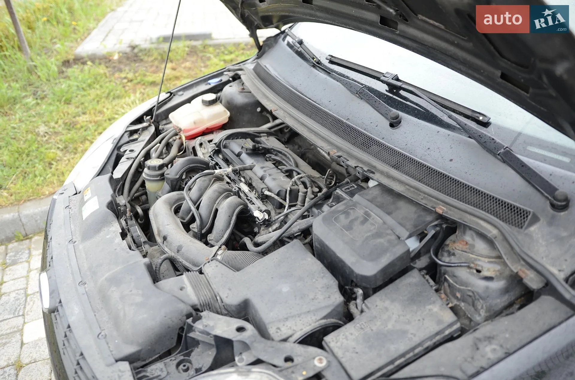 2010 Ford Focus - мініатюра 4