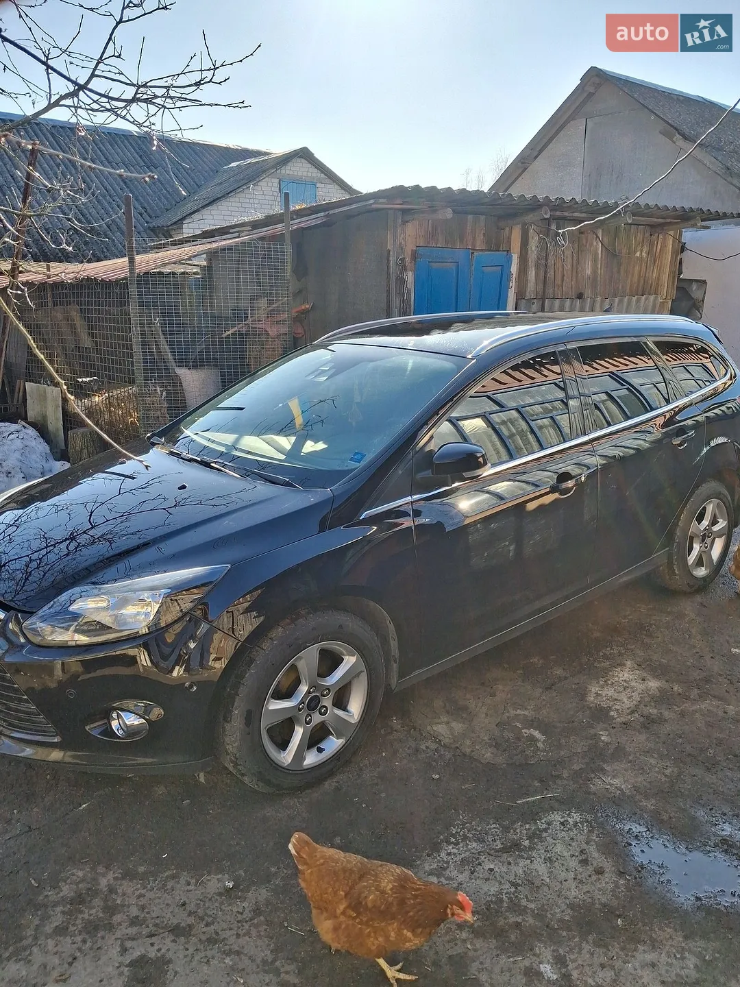 2014 Ford Focus - фото 1