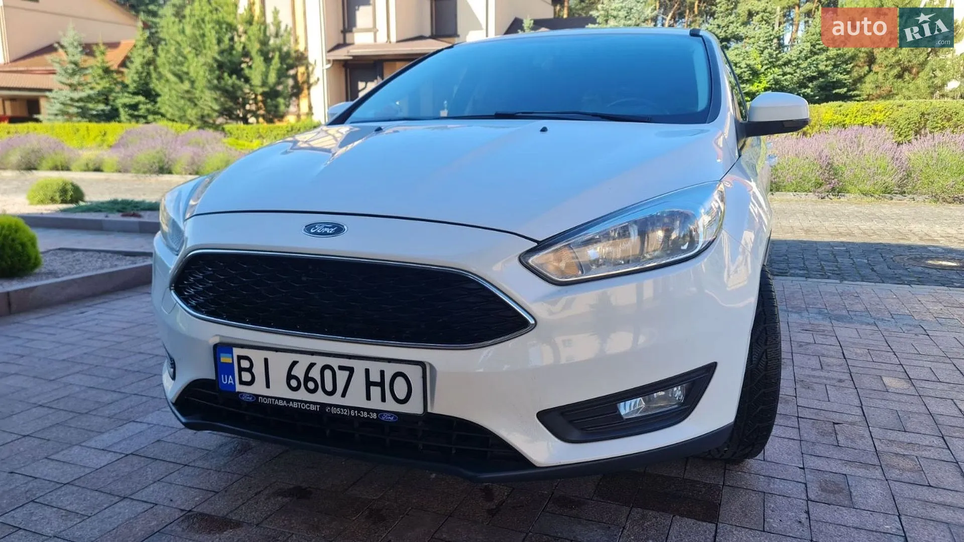 2015 Ford Focus - мініатюра 2
