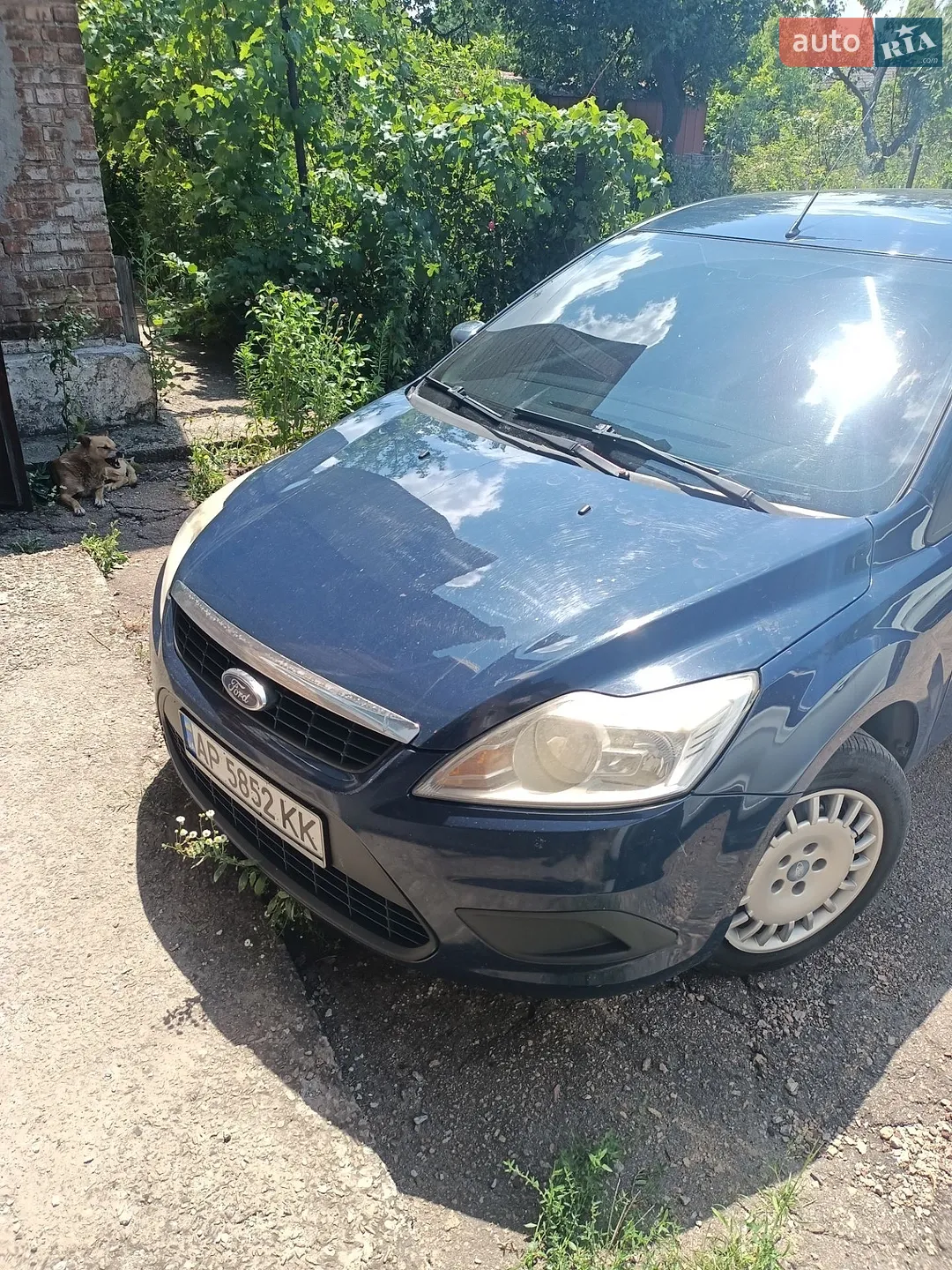 2010 Ford Focus - фото 1