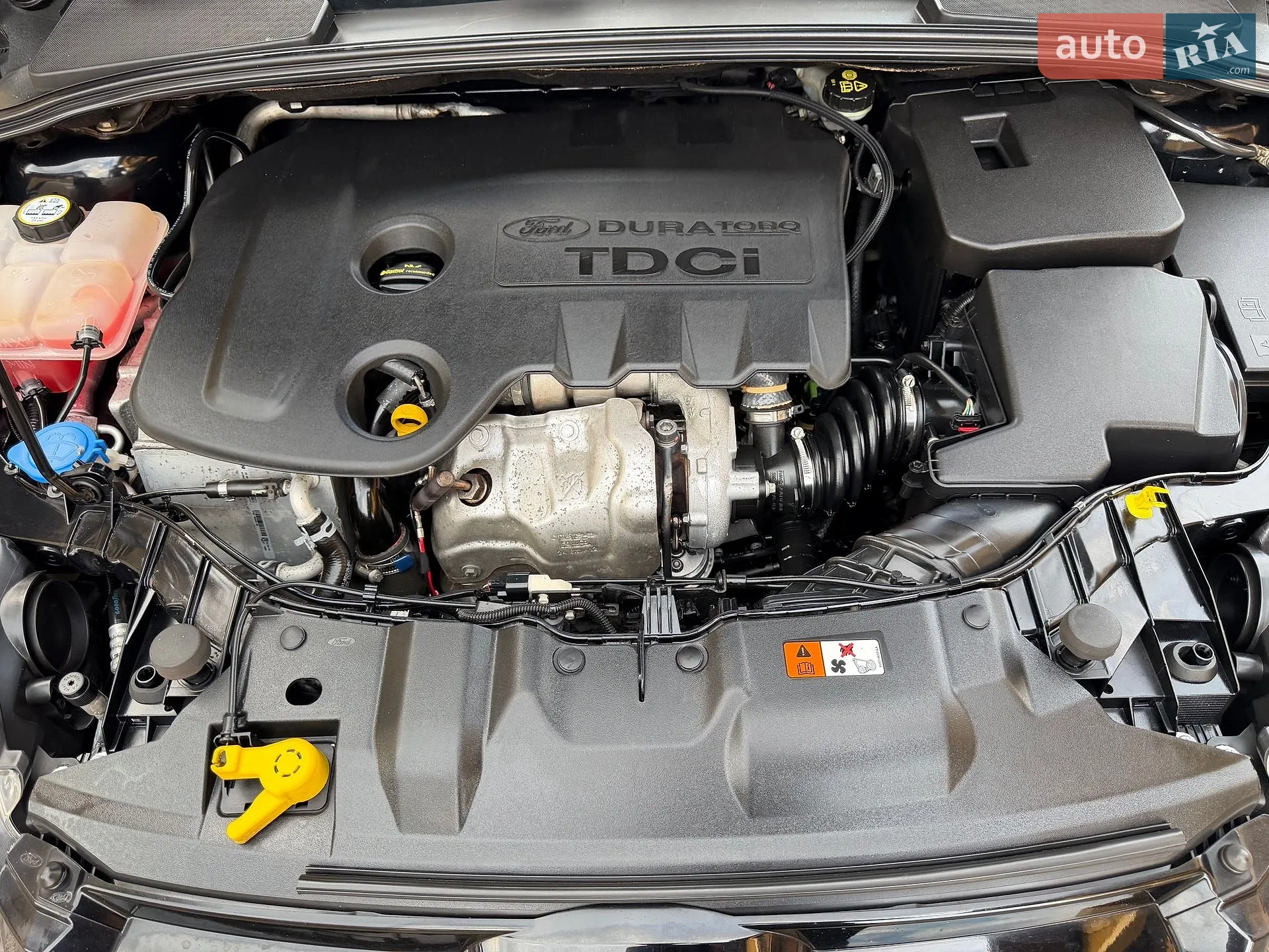 2013 Ford Focus - мініатюра 51