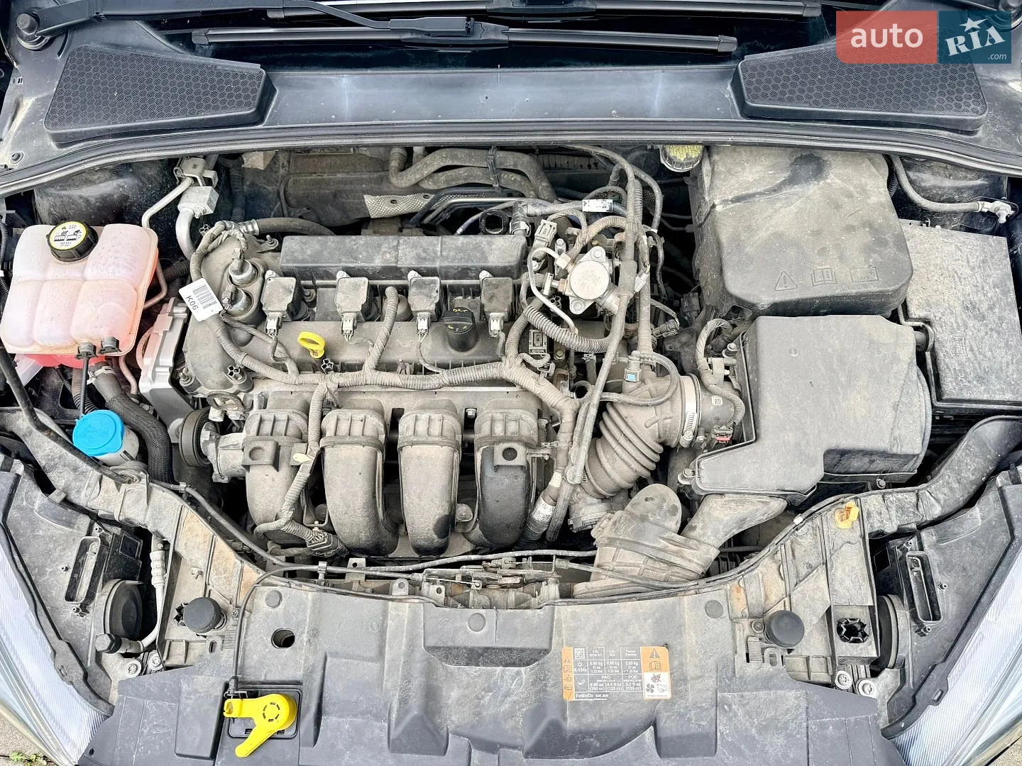 2016 Ford Focus - мініатюра 13