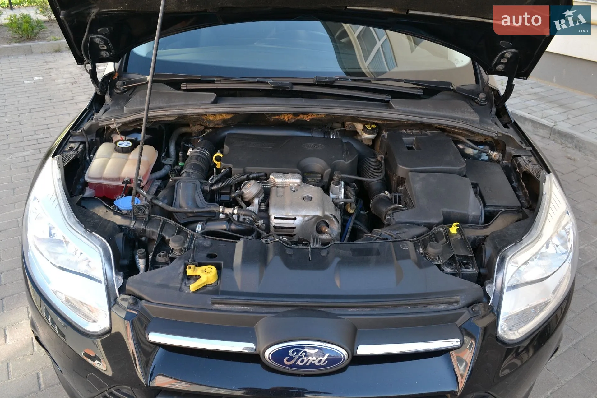 2013 Ford Focus - мініатюра 15