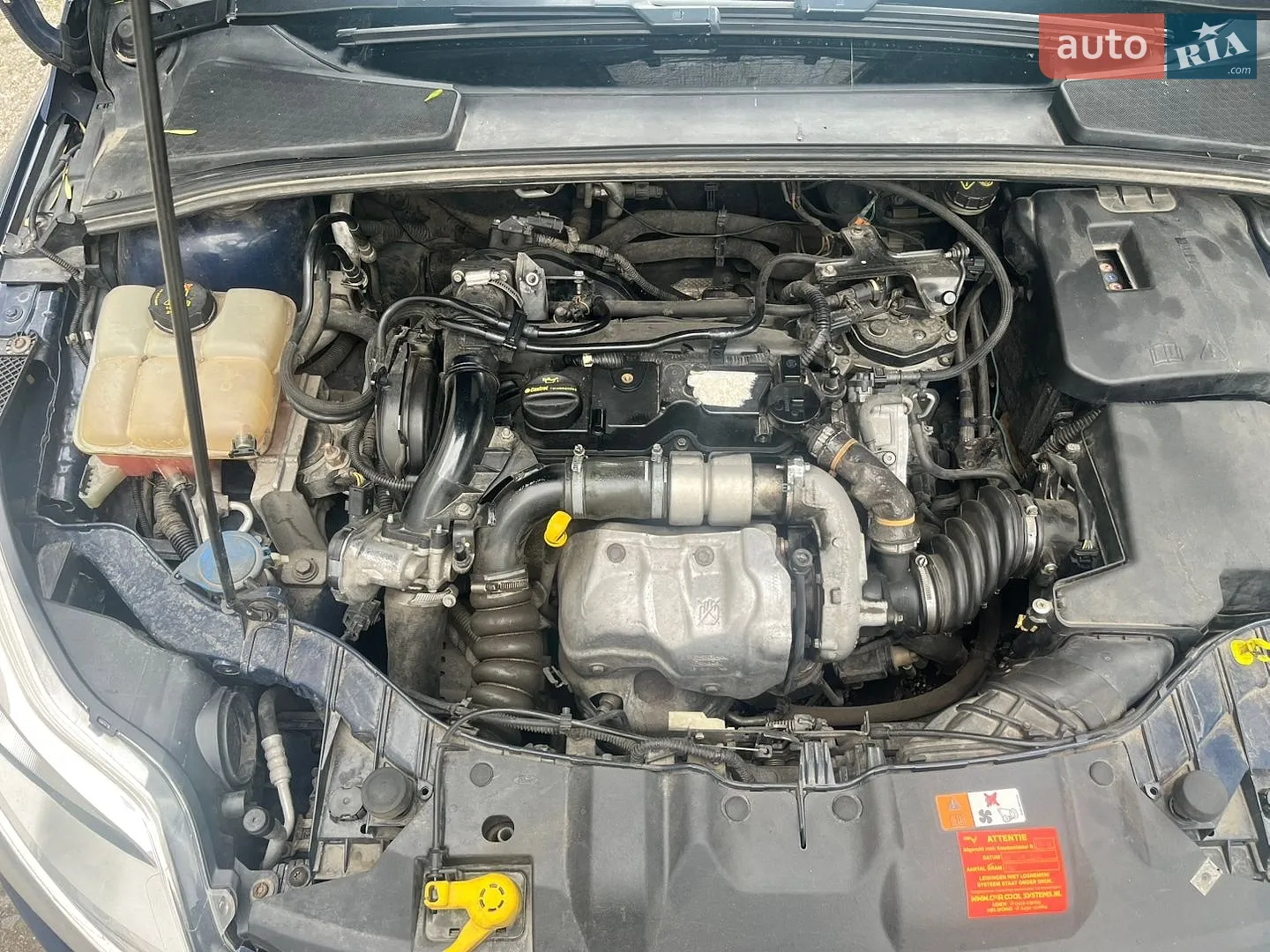 2014 Ford Focus - мініатюра 8