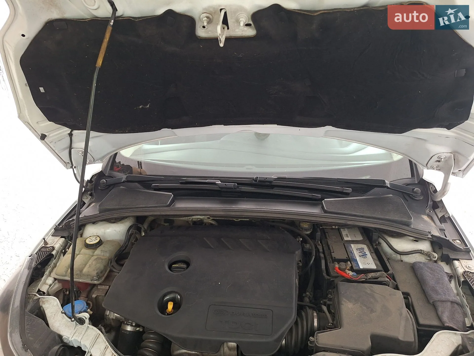 2014 Ford Focus - мініатюра 6