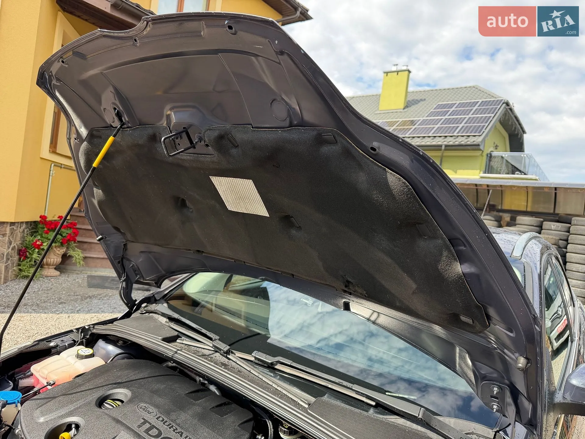 2014 Ford Focus - мініатюра 39