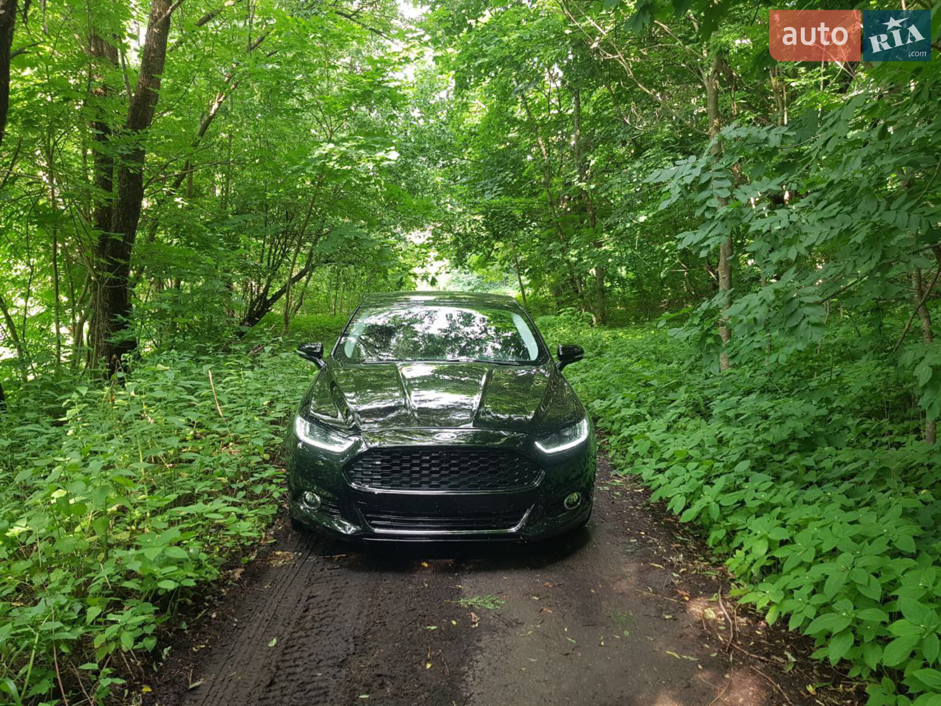 2015 Ford Fusion - мініатюра 2